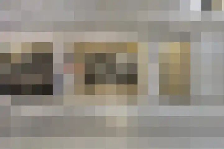 Catharina van Zoelenstraat 87 Rotterdam thumbnail 24