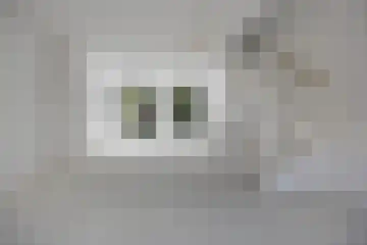 Catharina van Zoelenstraat 87 Rotterdam thumbnail 4