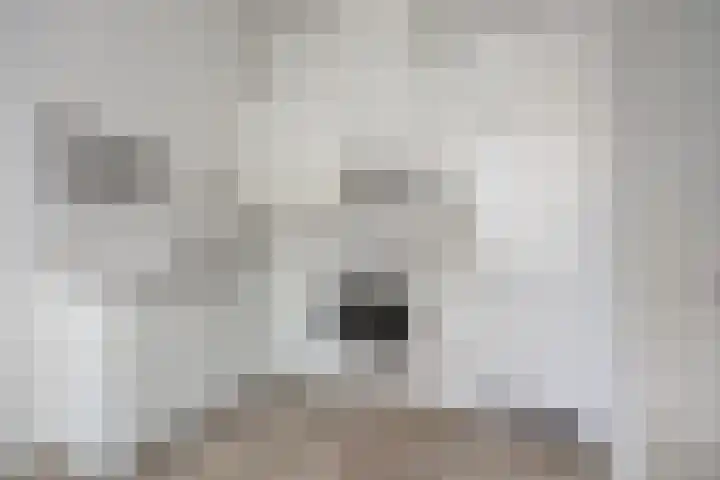 Catharina van Zoelenstraat 87 Rotterdam thumbnail 5