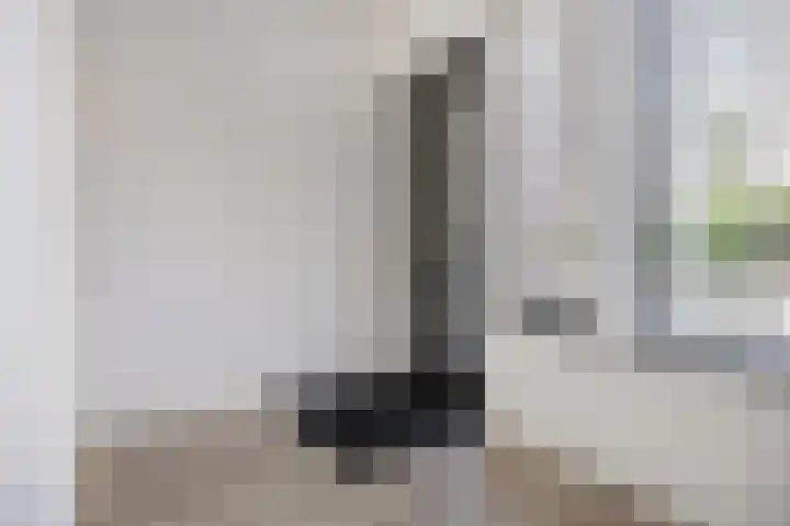 Catharina van Zoelenstraat 87 Rotterdam thumbnail 6