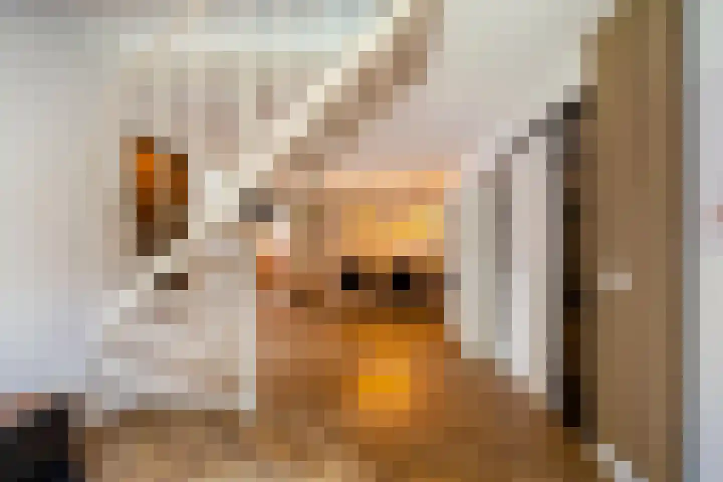 Catharinadaal 1 Ede thumbnail 7