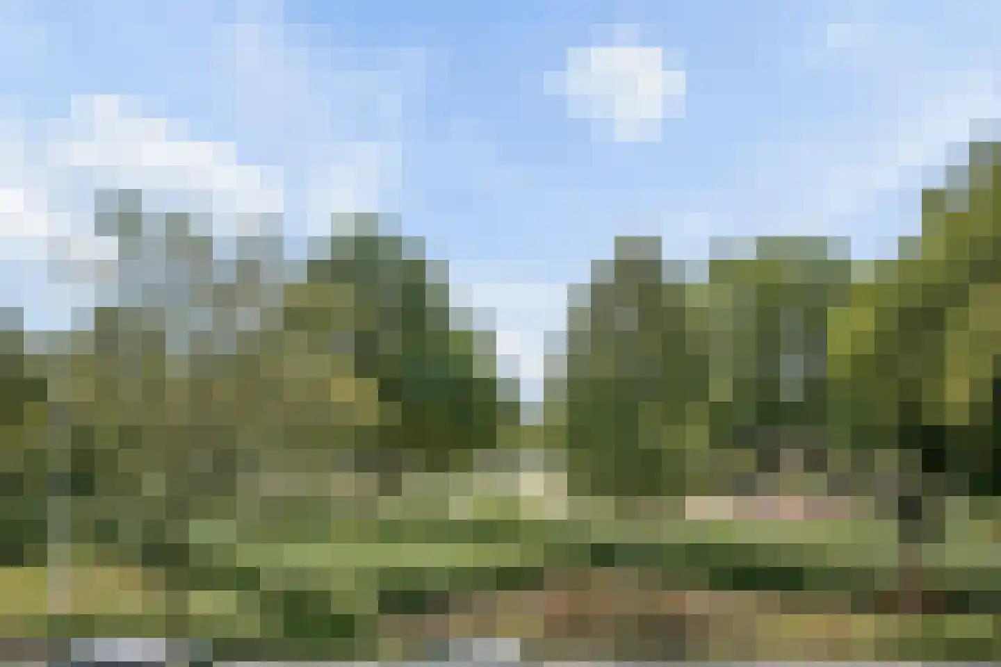 Catharinadaal 25 Ede thumbnail 21