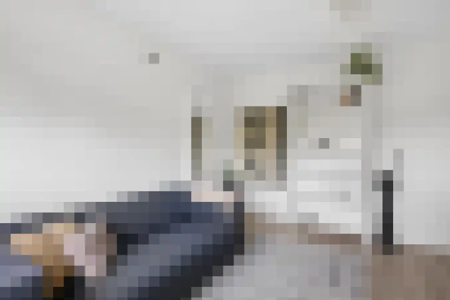 Catharinadaal 25 Ede thumbnail 24