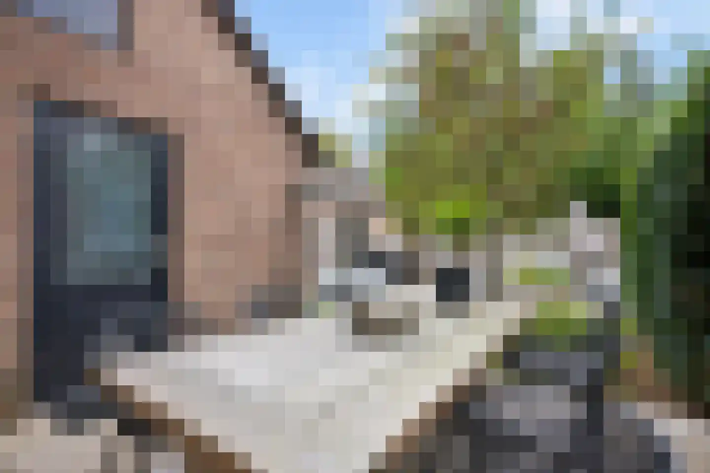 Catharinadaal 25 Ede thumbnail 38