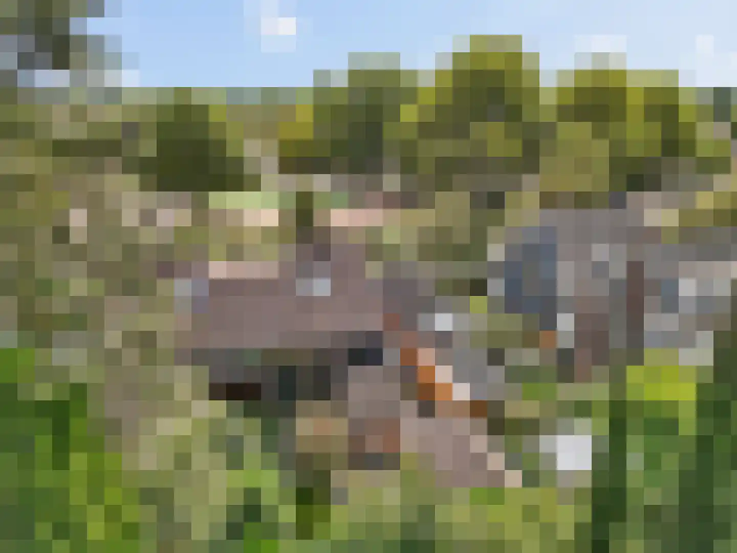 Catharinadaal 25 Ede thumbnail 56