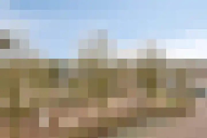 Catharinahoeve 19 Heesch thumbnail 36