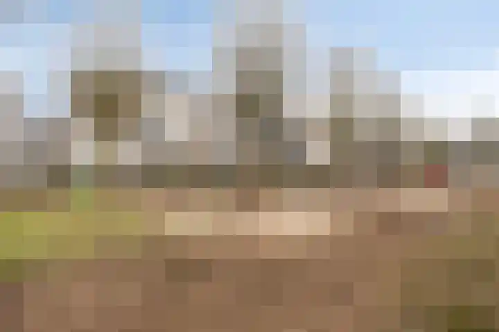 Catharinahoeve 19 Heesch thumbnail 37
