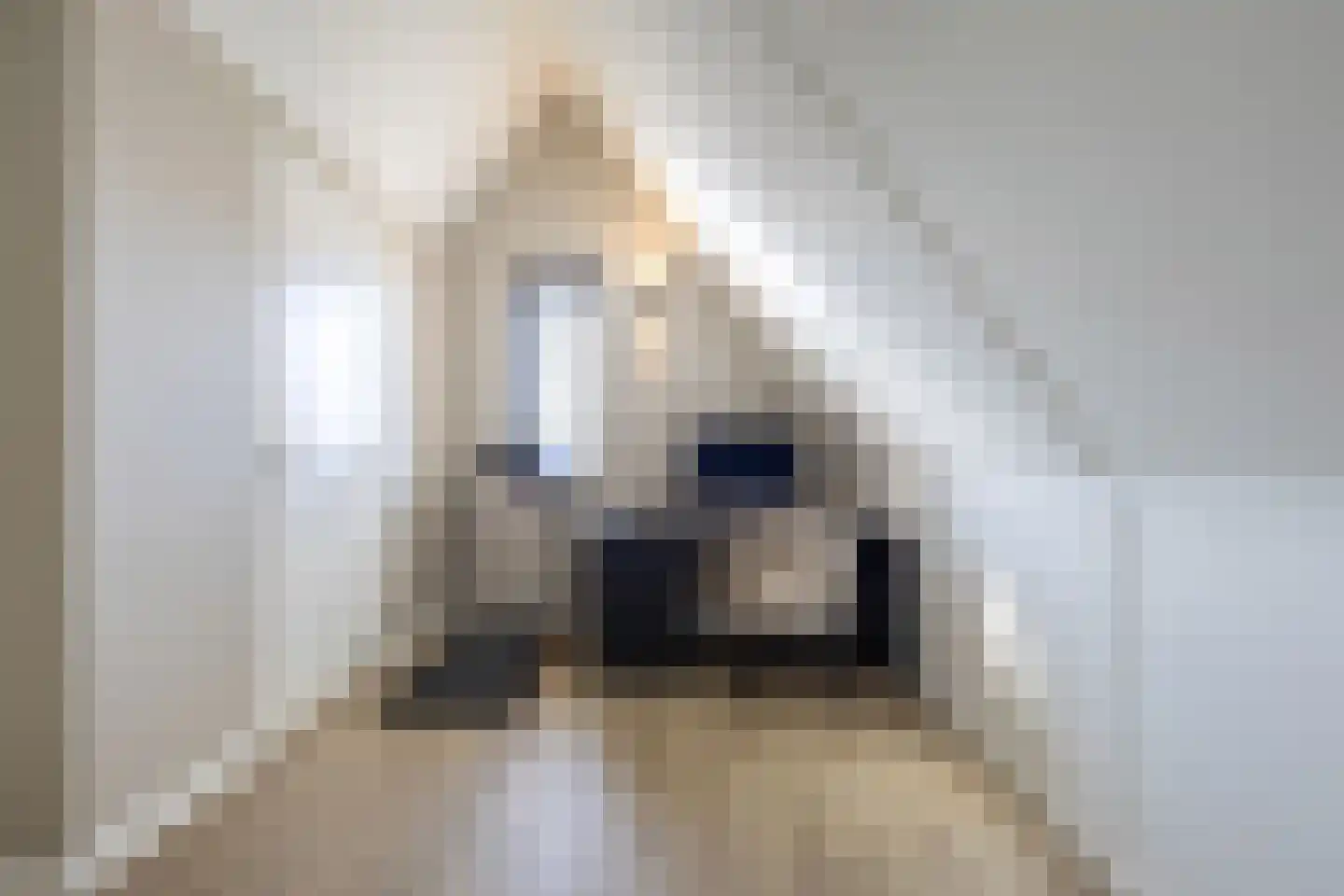 Catharinalaan 7 Heerenveen thumbnail 42