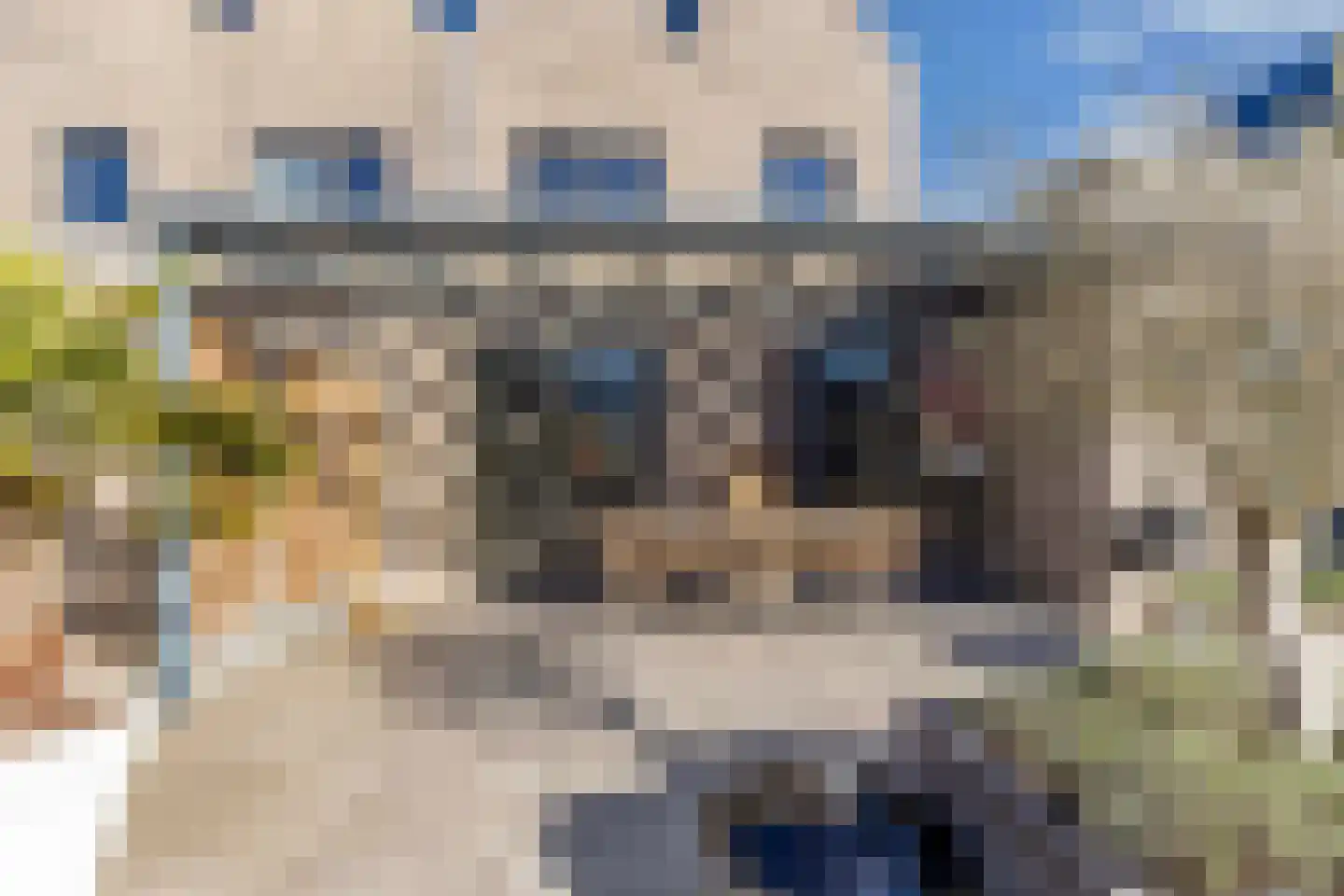 Catharinalaan 7 Heerenveen thumbnail 51