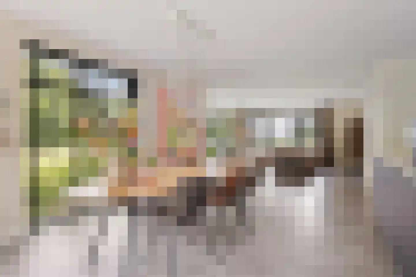 Catharinaleane 4 Hempens thumbnail 11