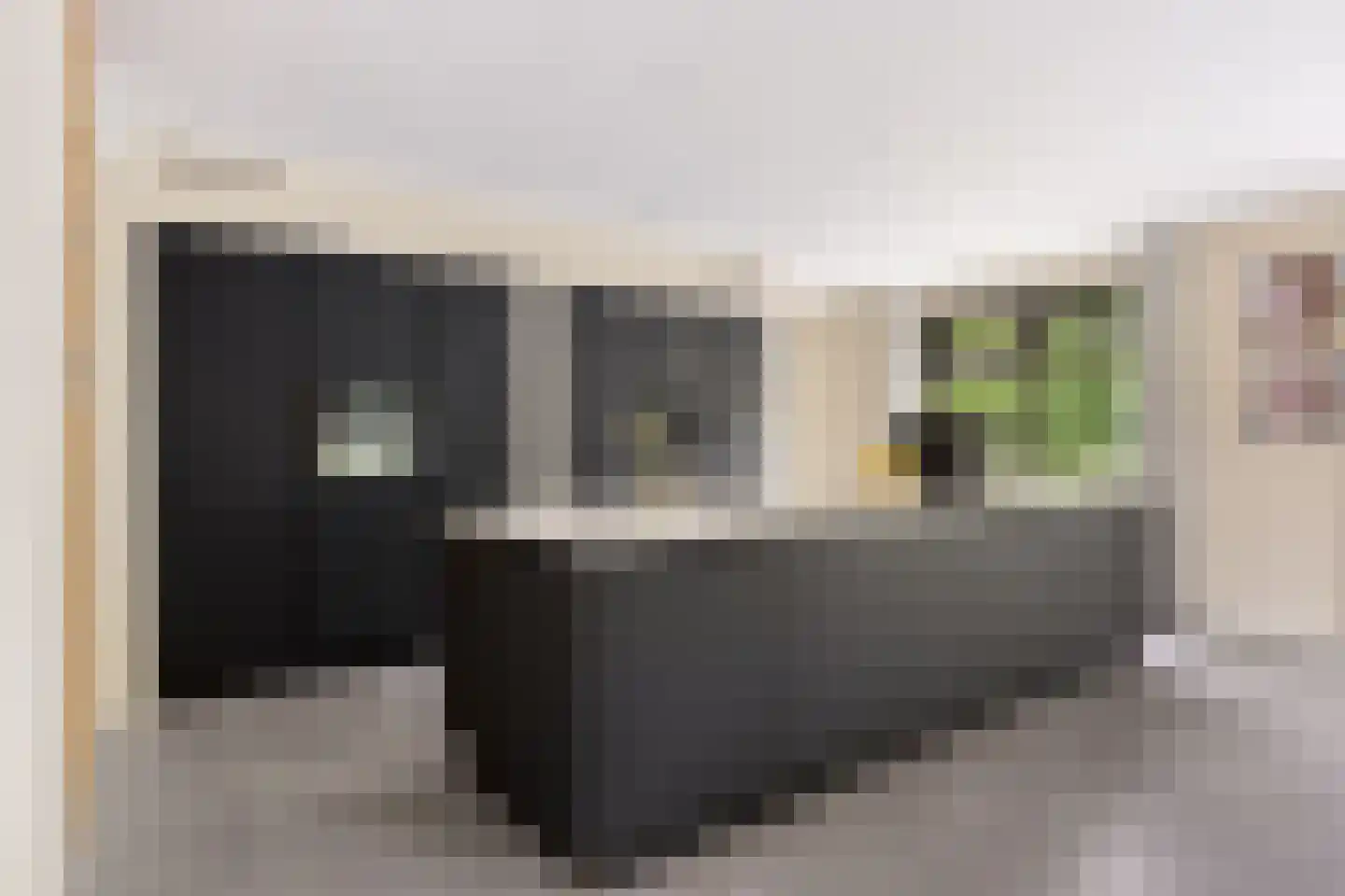 Catharinaleane 4 Hempens thumbnail 17