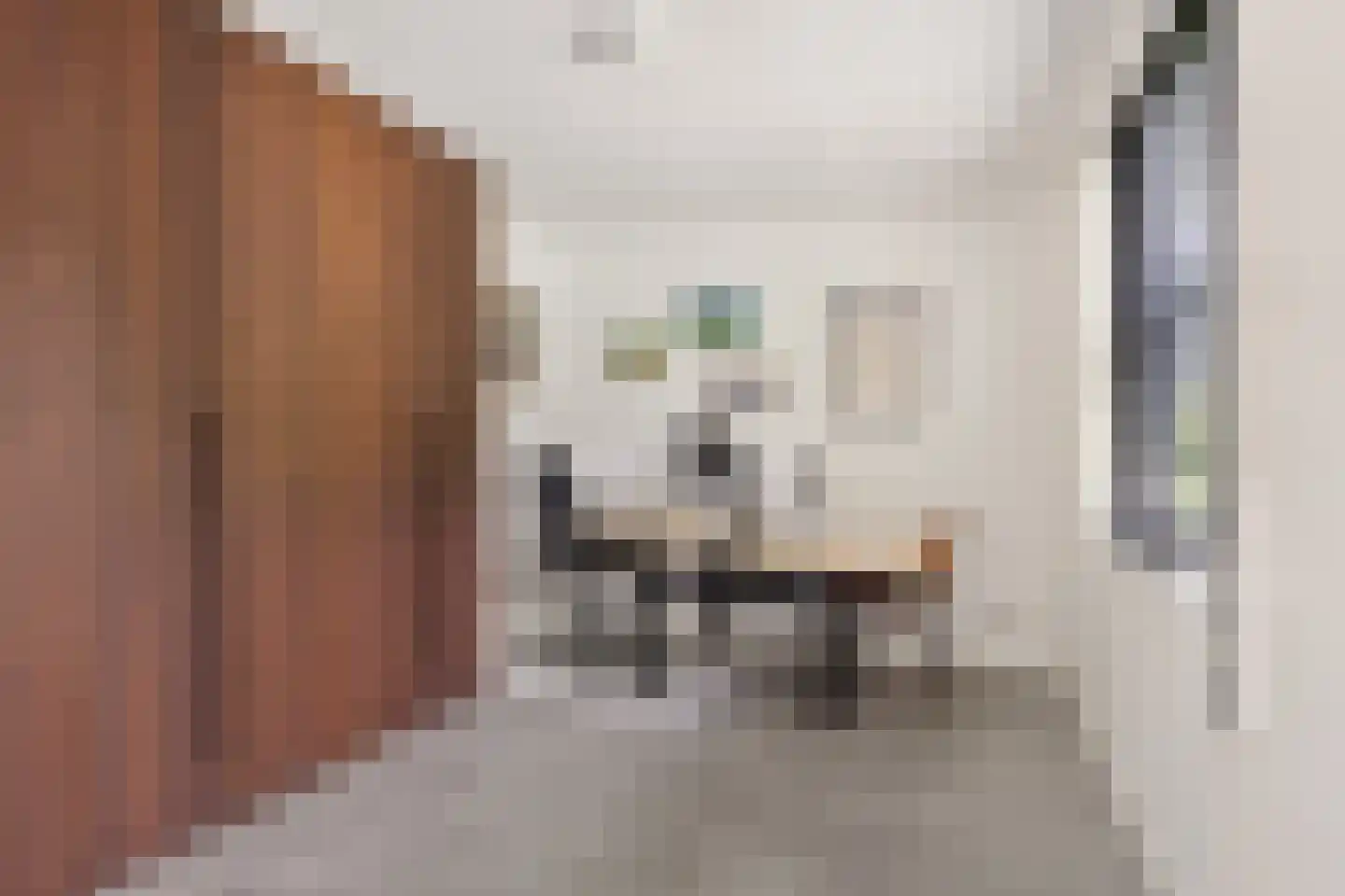 Catharinaleane 4 Hempens thumbnail 19