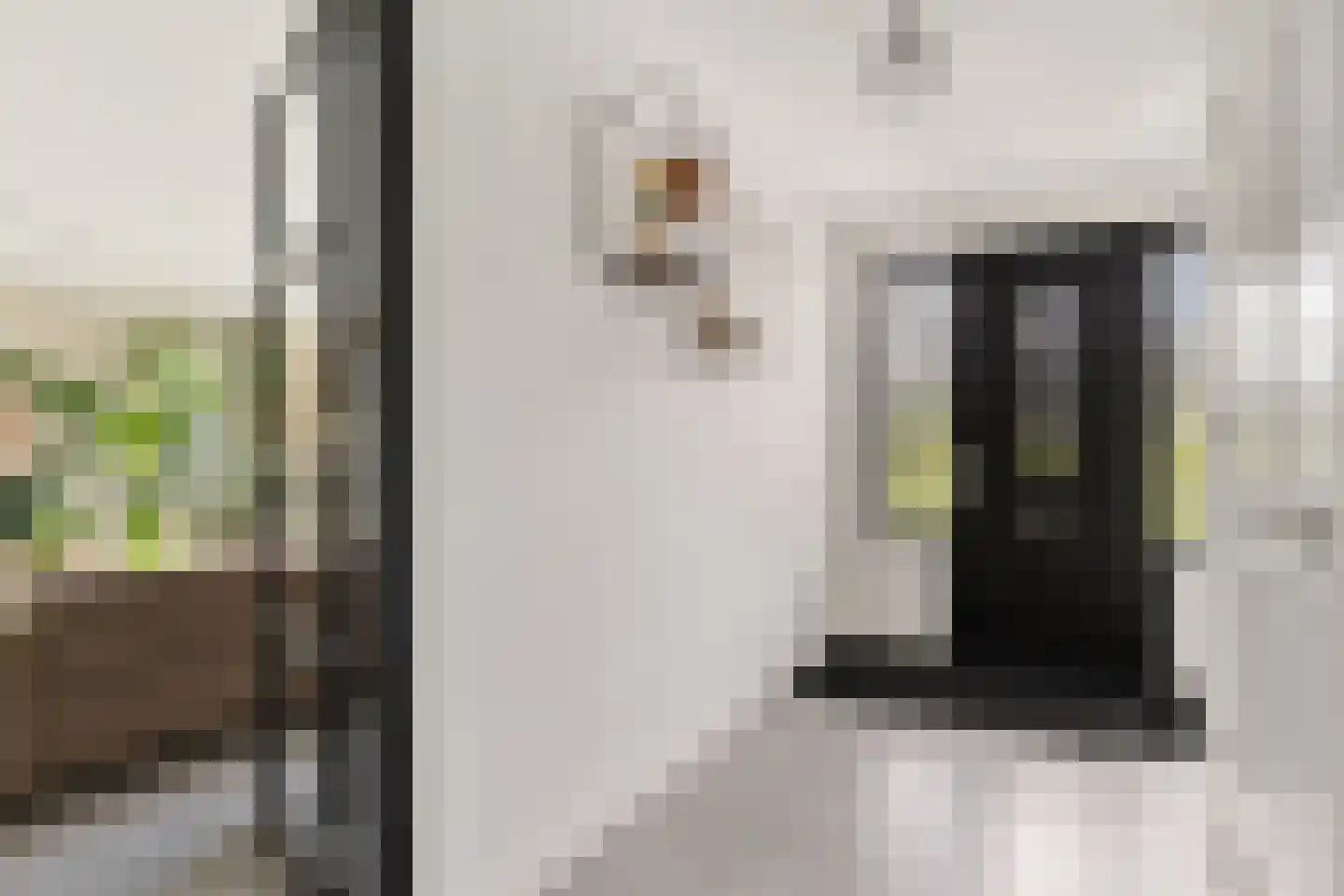 Catharinaleane 4 Hempens thumbnail 23