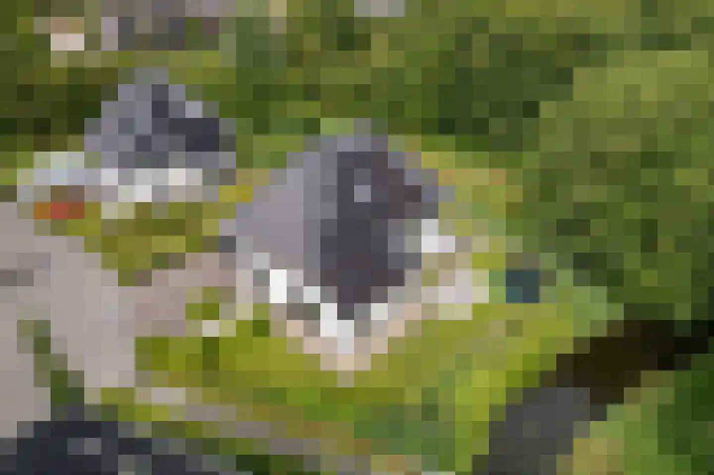 Catharinaleane 4 Hempens thumbnail 4
