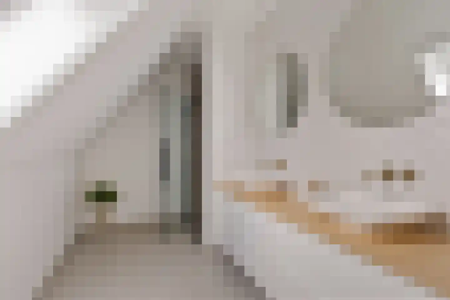 Catharinaleane 4 Hempens thumbnail 45