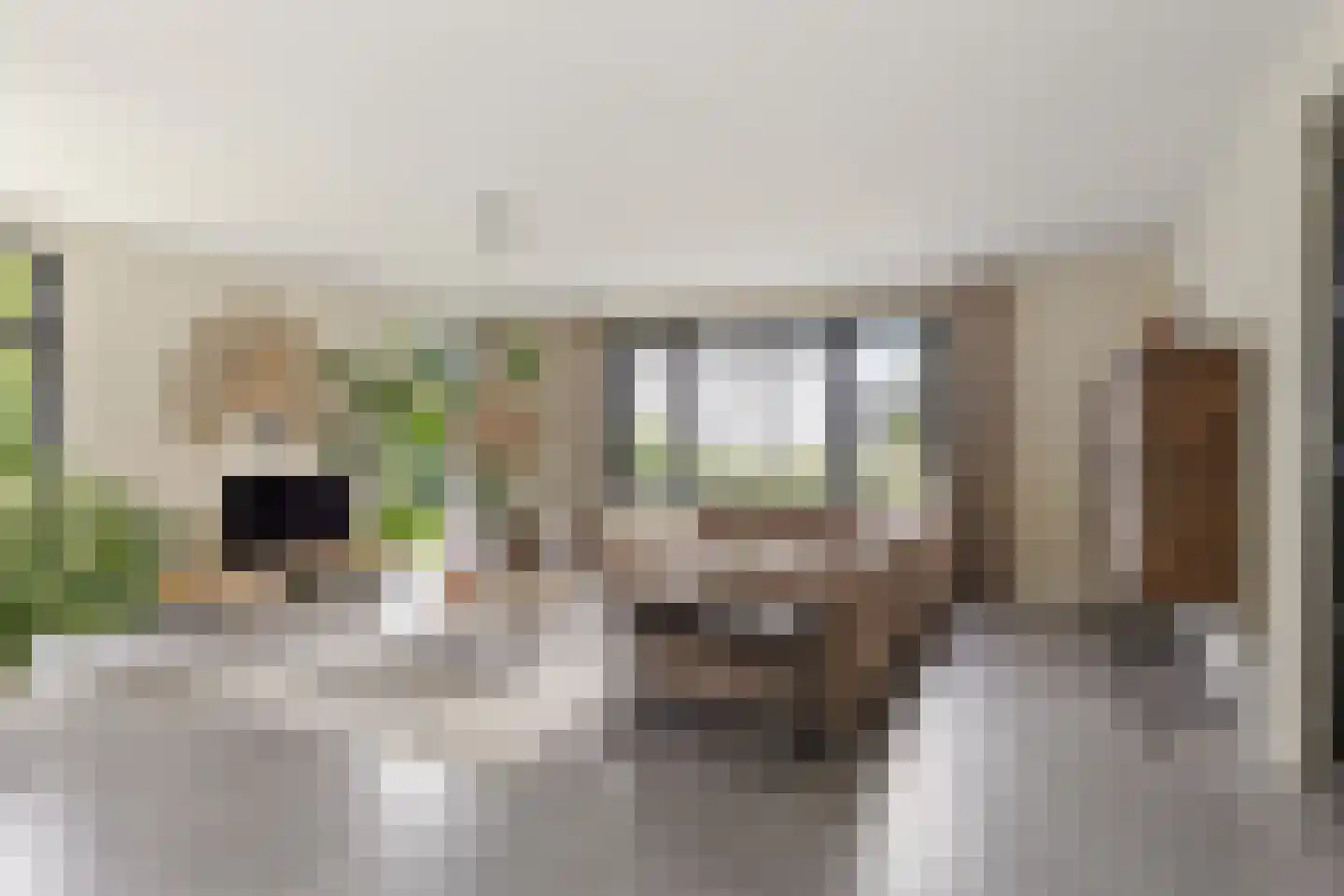 Catharinaleane 4 Hempens thumbnail 6