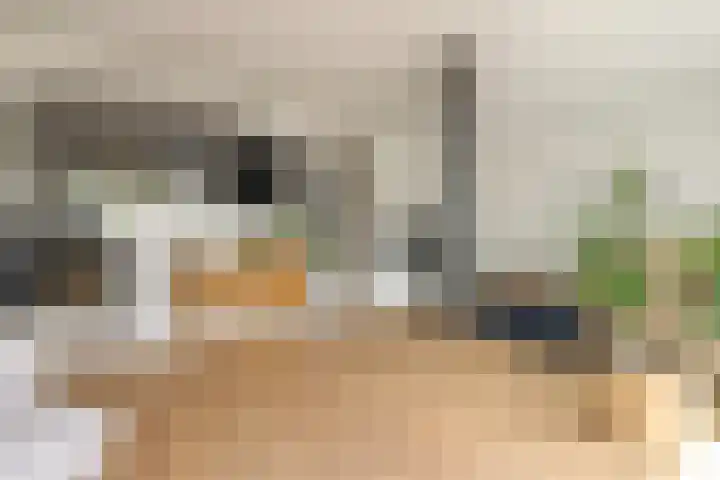 Catharinaplaatjes 1 De Meern thumbnail 10