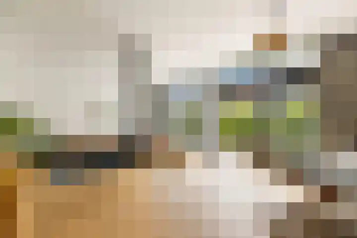 Catharinaplaatjes 1 De Meern thumbnail 12