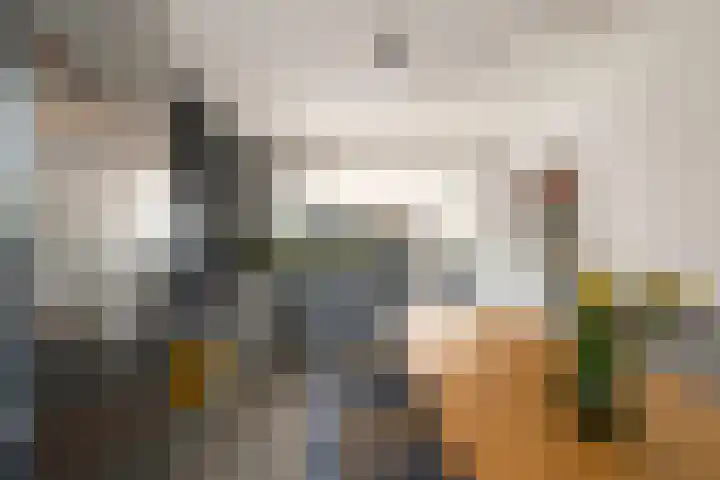 Catharinaplaatjes 1 De Meern thumbnail 14