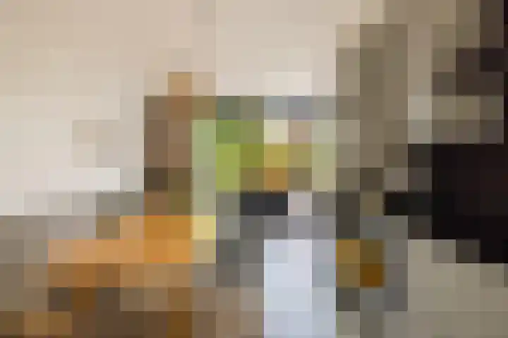 Catharinaplaatjes 1 De Meern thumbnail 16