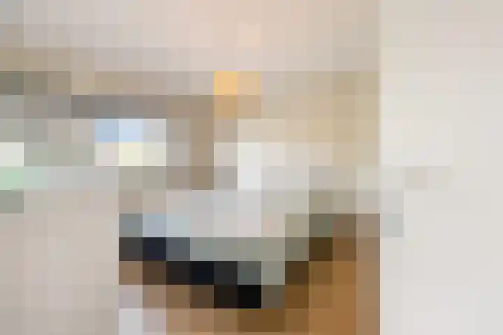 Catharinaplaatjes 1 De Meern thumbnail 19