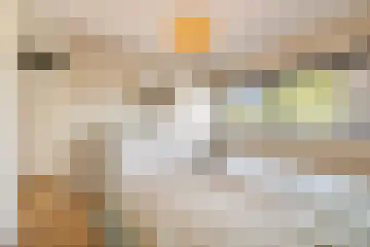 Catharinaplaatjes 1 De Meern thumbnail 20