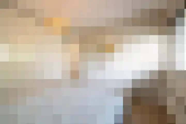 Catharinaplaatjes 1 De Meern thumbnail 21