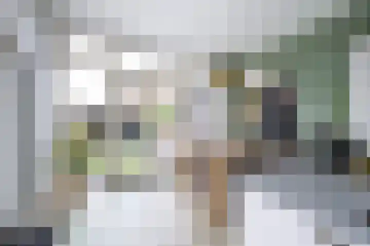 Catharinaplaatjes 1 De Meern thumbnail 22