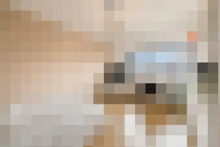 Catharinaplaatjes 1 De Meern thumbnail 23