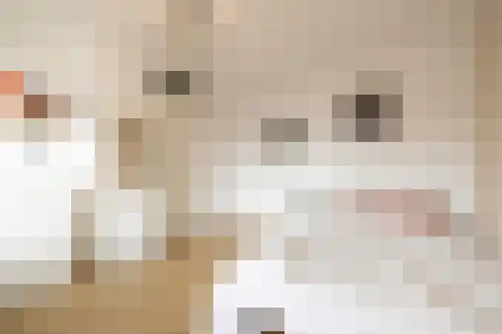 Catharinaplaatjes 1 De Meern thumbnail 24