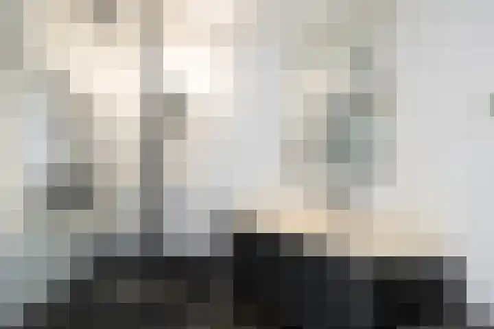 Catharinaplaatjes 1 De Meern thumbnail 28