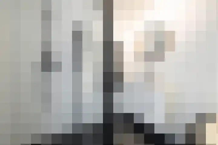 Catharinaplaatjes 1 De Meern thumbnail 29
