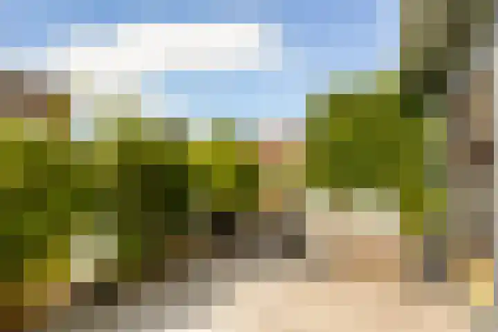 Catharinaplaatjes 1 De Meern thumbnail 31