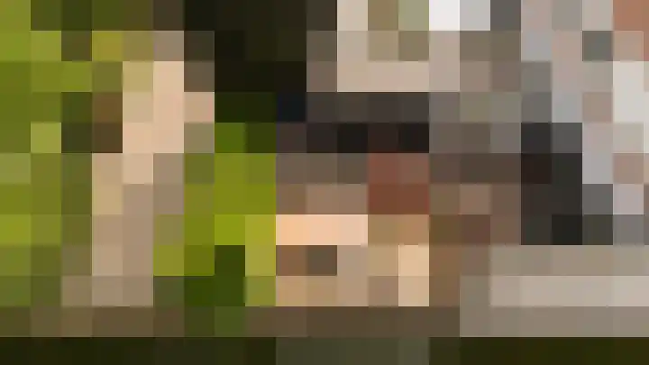 Catharinaplaatjes 1 De Meern thumbnail 34