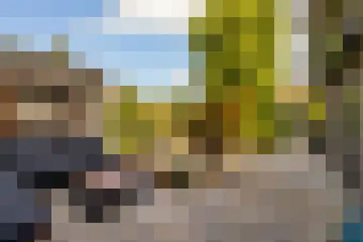 Catharinaplaatjes 1 De Meern thumbnail 35