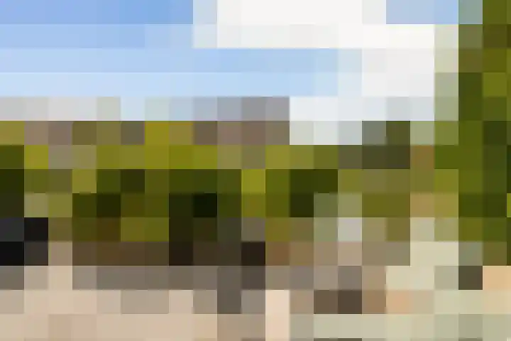 Catharinaplaatjes 1 De Meern thumbnail 4