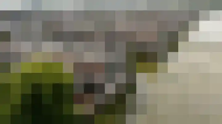 Catharinaplaatjes 1 De Meern thumbnail 40