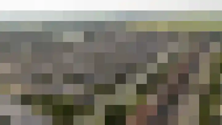 Catharinaplaatjes 1 De Meern thumbnail 42