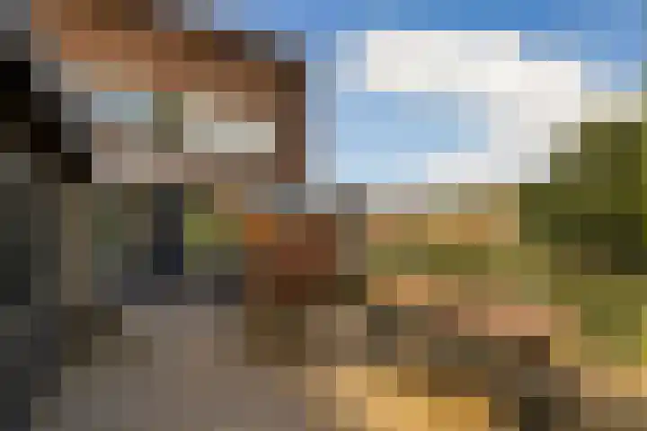 Catharinaplaatjes 1 De Meern thumbnail 5