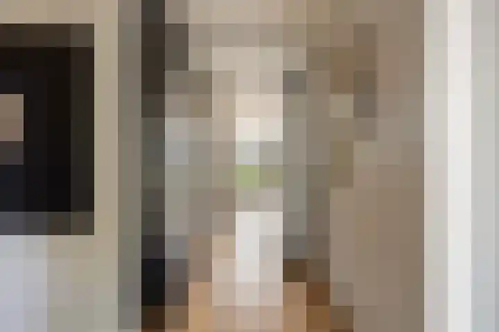 Catharinaplaatjes 1 De Meern thumbnail 6