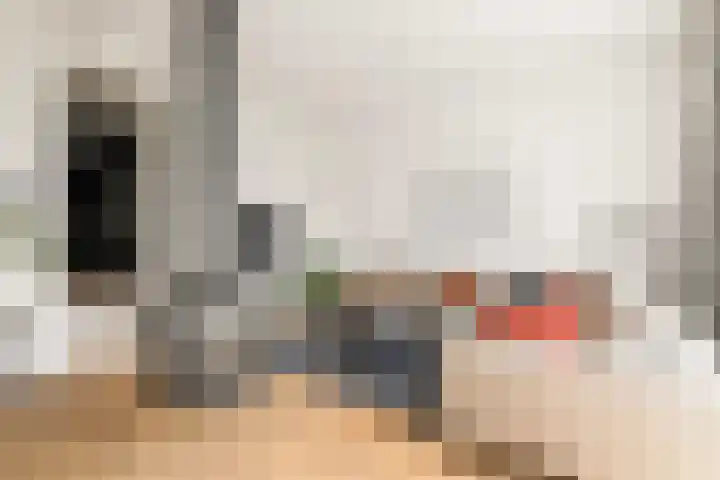 Catharinaplaatjes 1 De Meern thumbnail 7
