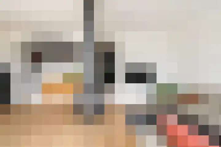 Catharinaplaatjes 1 De Meern thumbnail 8
