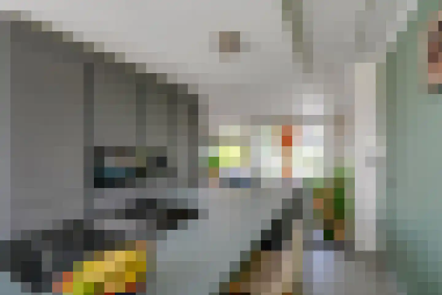 Catharinaplaatjes 16 De Meern thumbnail 12