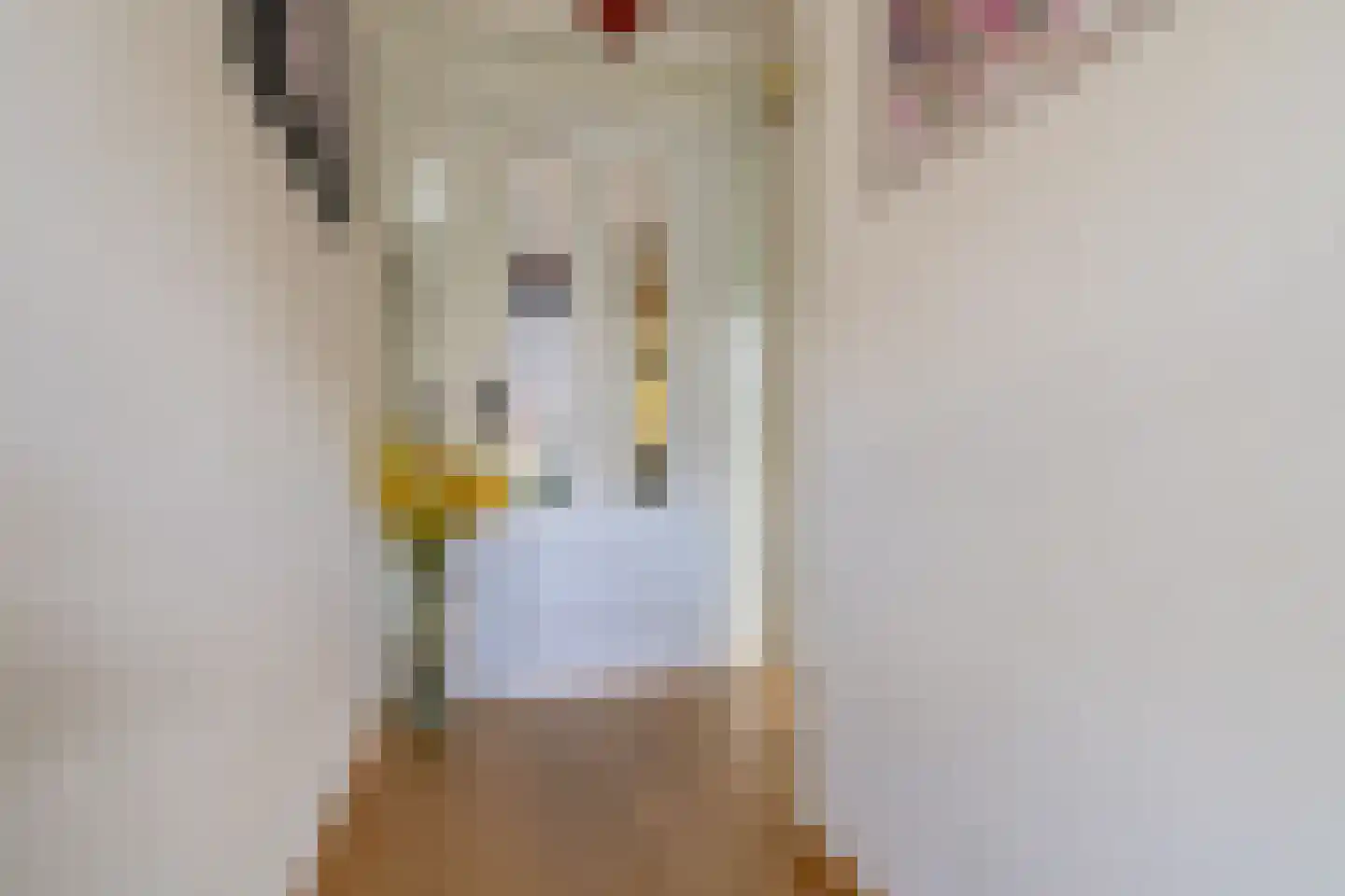 Catharinaplaatjes 16 De Meern thumbnail 22