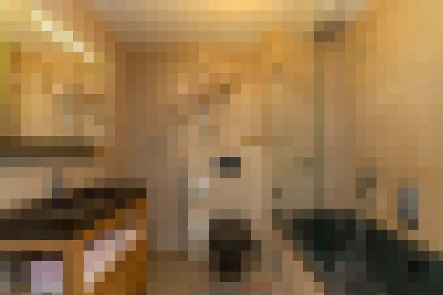 Catharinaplaatjes 16 De Meern thumbnail 30