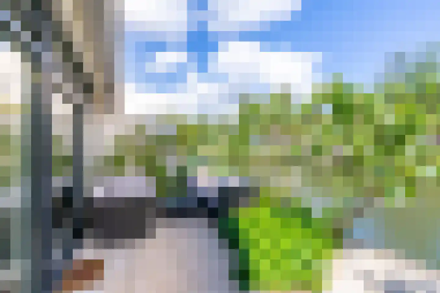 Catharinaplaatjes 16 De Meern thumbnail 4