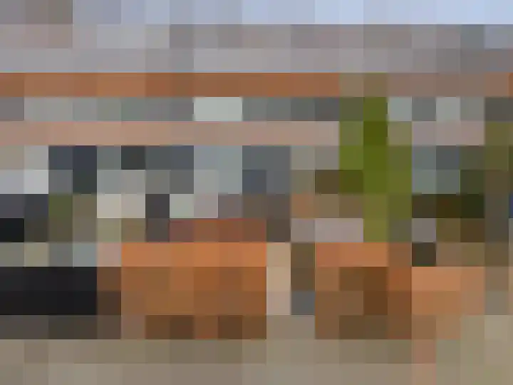 Catharinaplaatjes 26 De Meern thumbnail 11