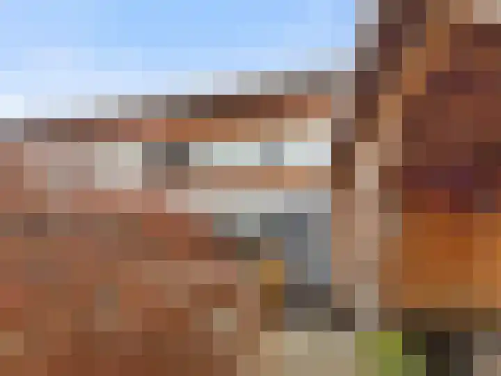 Catharinaplaatjes 26 De Meern thumbnail 12