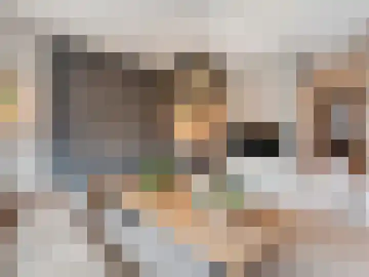 Catharinaplaatjes 26 De Meern thumbnail 21