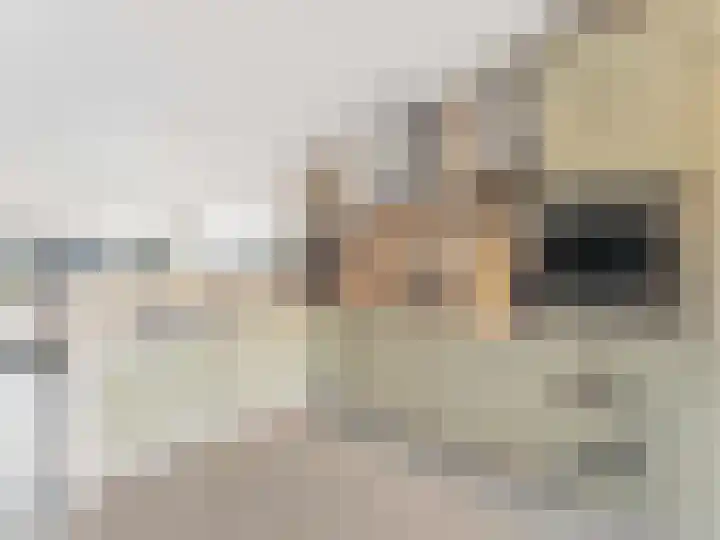 Catharinaplaatjes 26 De Meern thumbnail 4